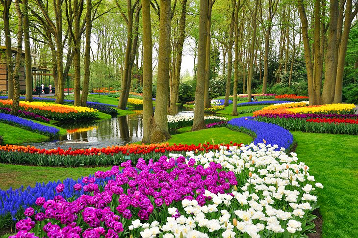 Keukenhof Gardens
